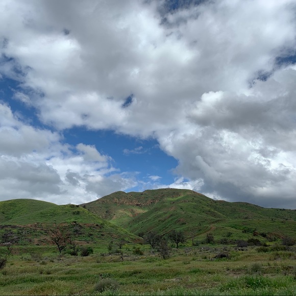 My Info Here. Closet Info’s Next Door ➔ - Picture 8 of 12